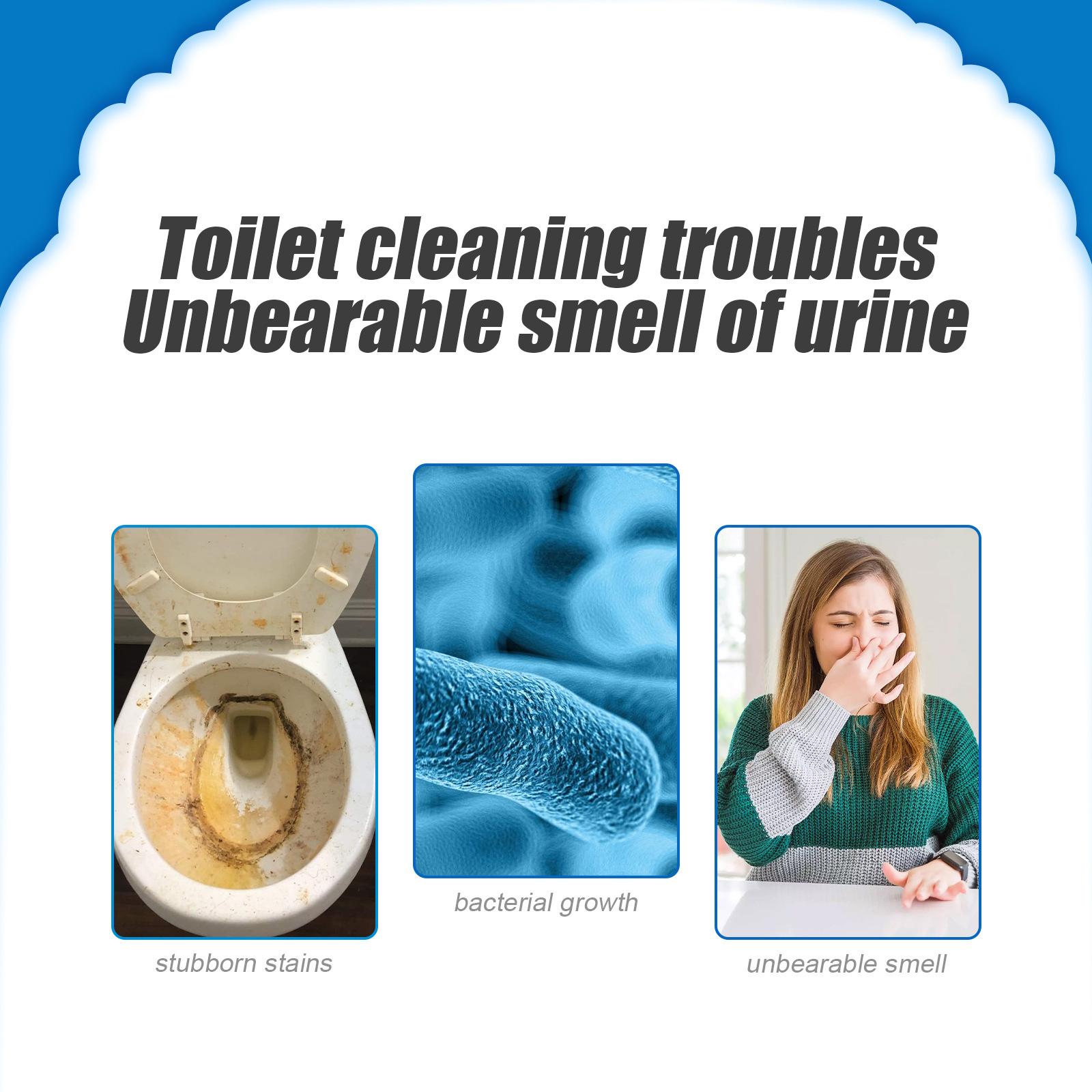 Detergente in Polvere per WC,  - Home Bathroom Cleaning Solution recensione e prezzo